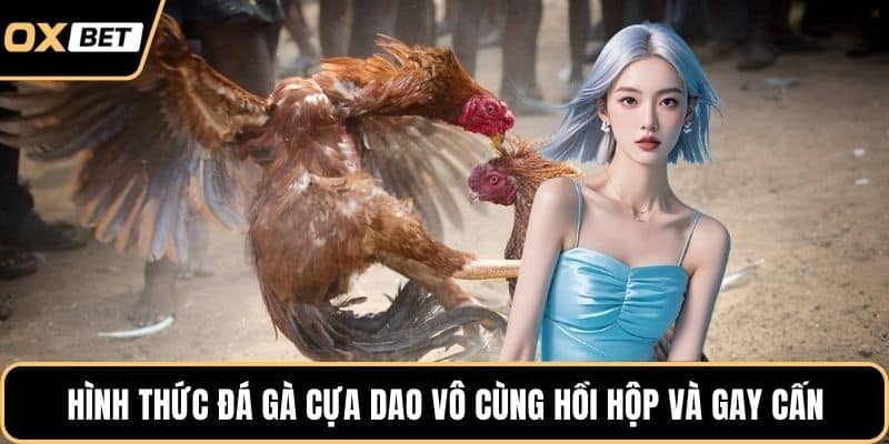 Hình thức đá gà cựa dao vô cùng hồi hộp và gay cấn