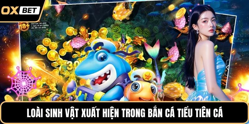 Loài sinh vật xuất hiện trong bắn cá tiểu tiên cá