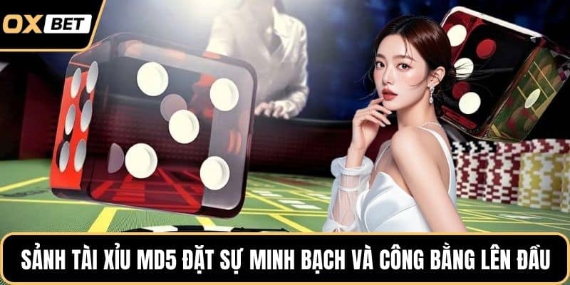 Sảnh tài xỉu MD5 đặt sự minh bạch và công bằng lên đầu