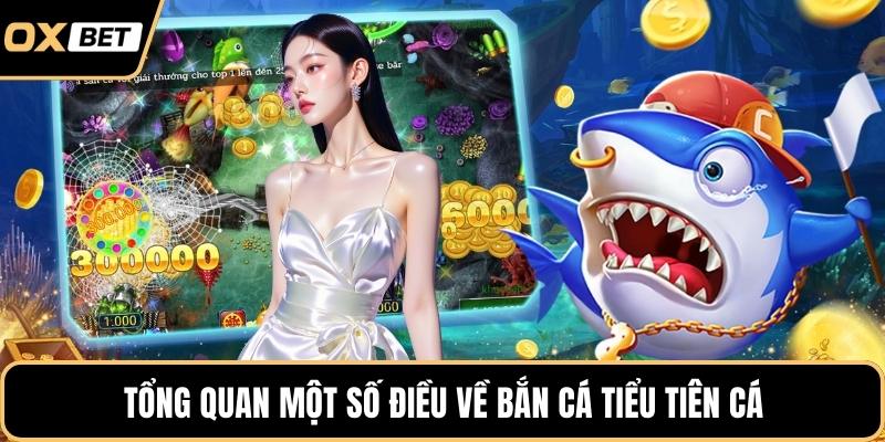 Tổng quan một số điều về bắn cá tiểu tiên cá